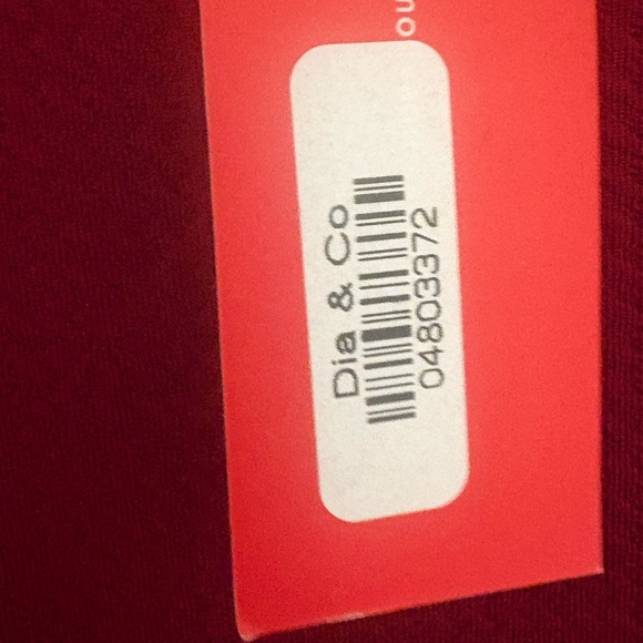 Sleeveless Burgundy Dress with POCKETS!! - Picture 4 of 4